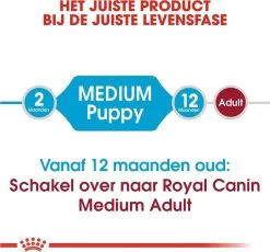 Royal Canin Medium Junior 15 KG -Dierenwinkel 1200x1116 2