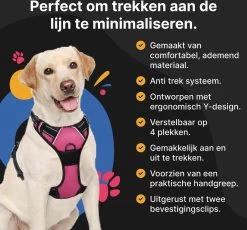 Hondentuig - Hondenharnas - Hondenriem - Anti Trek - Autogordel Hond - Zwart - Maat S 13 Hondentuig - Hondenharnas - Hondenriem - Anti Trek - Autogordel Hond - Zwart - Maat S -Dierenwinkel 1200x1116 7