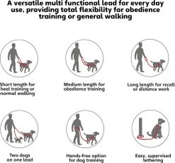 Company Of Animals Halti Trainingslijn - Large - 2 Meter - Verstelbaar - Zwart -Dierenwinkel 1200x1119 3