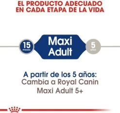 Royal Canin Maxi Adult 5+ Jaar Oud - Hondenvoer - 15 Kg -Dierenwinkel 1200x1127 4