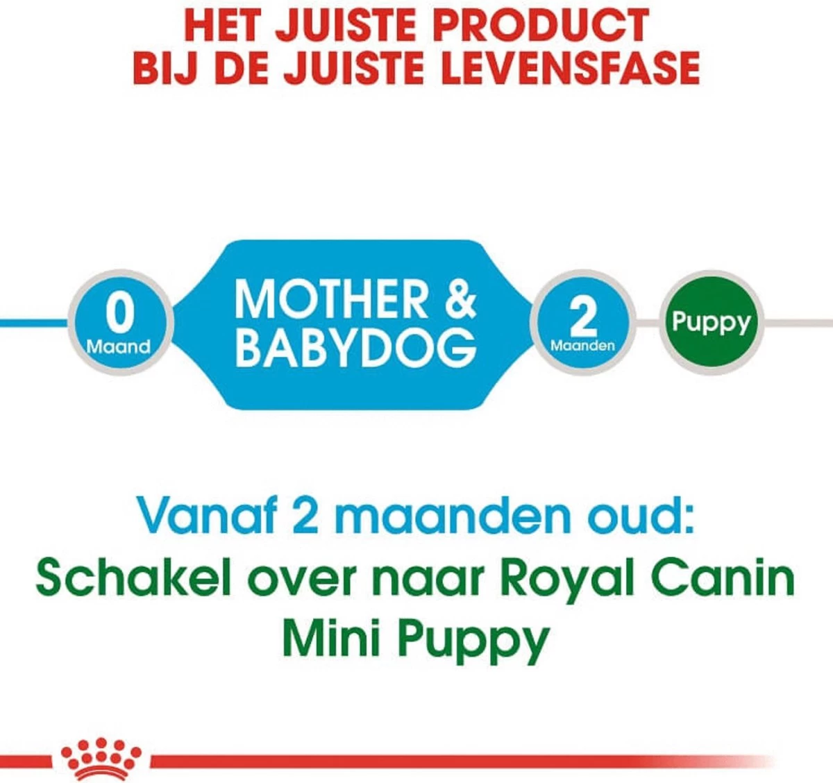 Royal Canin Mini Starter Mother & Babydog - Puppy-Hondenvoer - 8 Kg 5 Royal Canin Mini Starter Mother & Babydog - Puppy-Hondenvoer - 8 Kg - Afbeelding 3