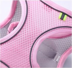 Hondentuigje Voor Kleine Puppy's & Kleine Honden - Blauw - Maat M -Dierenwinkel 1200x1130 8