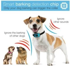 Merkloos Anti Blafband Voor Honden Blafband Anti Blaf Apparaat Blafband Zonder Schok - Diervriendelijk -Dierenwinkel 1200x1133 3