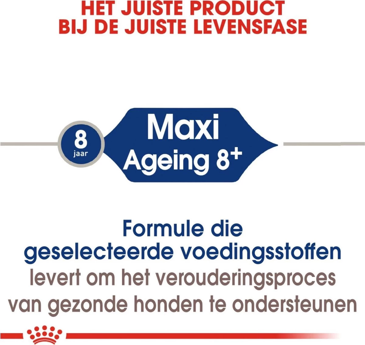 Royal Canin Maxi Ageing 8+ 15 KG 4 Royal Canin Maxi Ageing 8+ 15 KG - Afbeelding 2