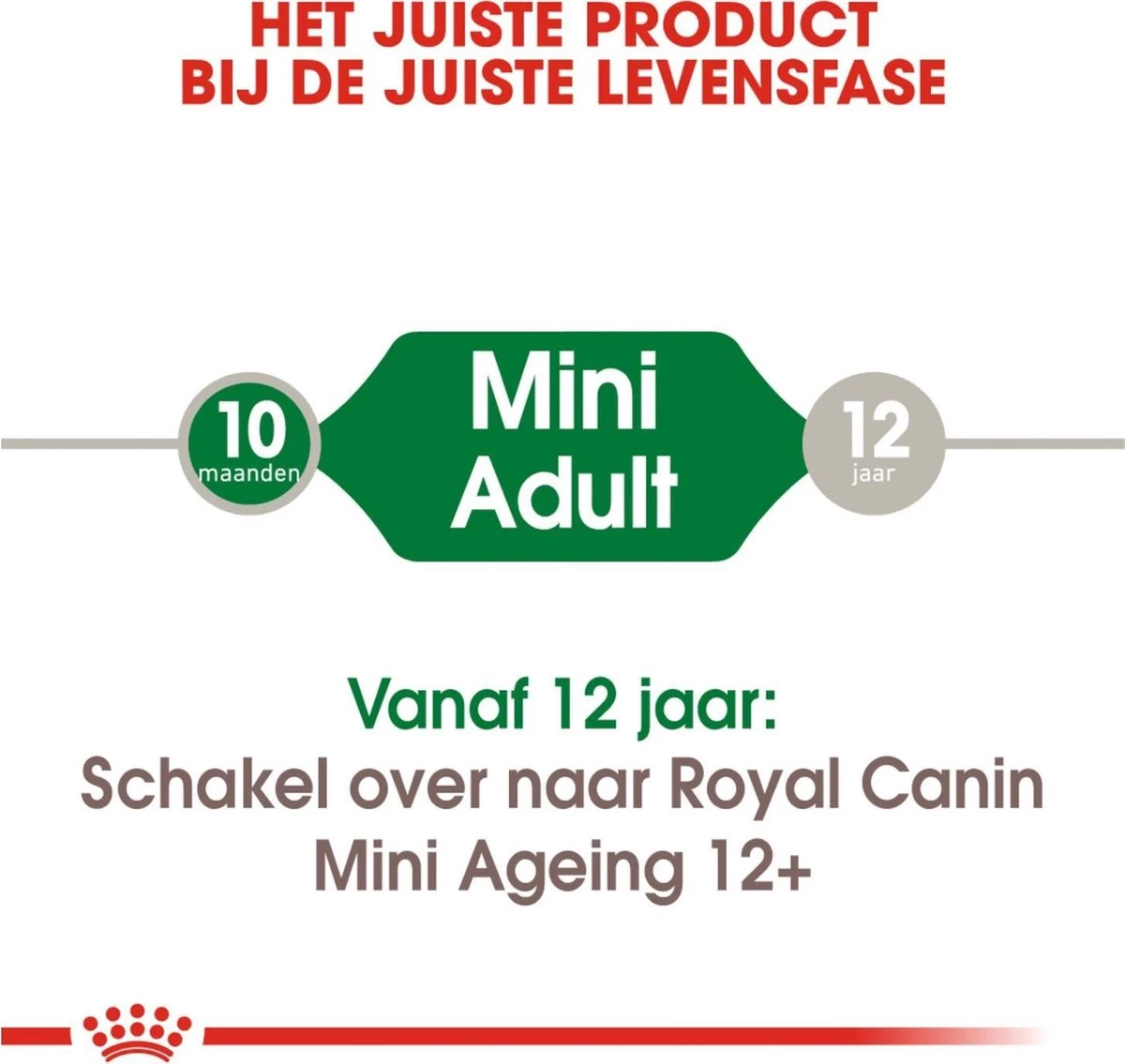 Royal Canin Shn Mini Adult Pouch - Hondenvoer - 12 X 85 G 4 Royal Canin Shn Mini Adult Pouch - Hondenvoer - 12 X 85 G - Afbeelding 2