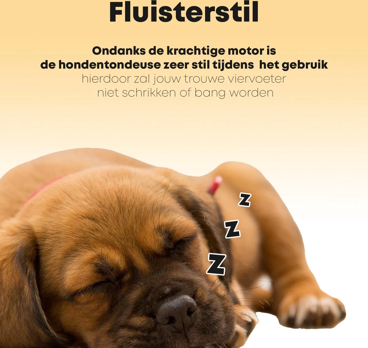 Hondentondeuse Professioneel - 2 In 1 - Honden & Katten - Hondentrimmer - Dikke & Dunne Vacht 6 Hondentondeuse Professioneel - 2 In 1 - Honden & Katten - Hondentrimmer - Dikke & Dunne Vacht - Afbeelding 4