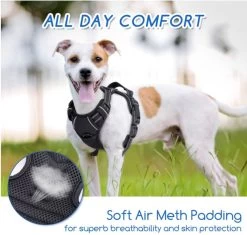 Nobleza 42ZHY - Hondenharnas - Hondentuigje - Anti Trek - L - Zwart 12 Nobleza 42ZHY - Hondenharnas - Hondentuigje - Anti Trek - L - Zwart -Dierenwinkel 1200x1141 7