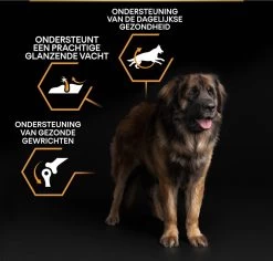 Pro Plan Everyday Nutrition Large Robust Adult - Honden Droogvoer - Kip - 14 Kg -Dierenwinkel 1200x1146 14