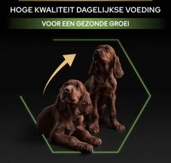 Pro Plan Healthy Start Puppy Large Athletic - Honden Droogvoer - Kip - 12 Kg -Dierenwinkel 1200x1146 4