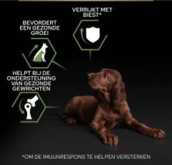 Pro Plan Healthy Start Puppy Large Athletic - Honden Droogvoer - Kip - 12 Kg -Dierenwinkel 1200x1146 5