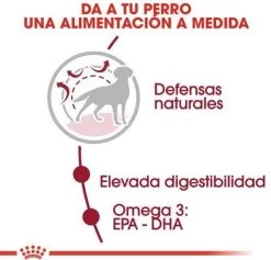 Royal Canin Medium Adult 15 KG -Dierenwinkel 1200x1150 2