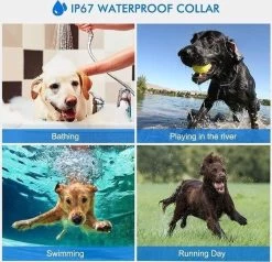 Anti Blafband EN Trainingshalsband In 1 - UNIEK SYSTEEM - 1000m Bereik - 100 Levels -Dierenwinkel 1200x1154 2