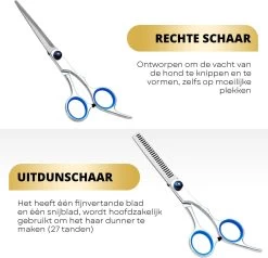 BeautyFit - 16-delig Hondentondeuse Set - Professionele Honden Trimset - Dieren Tondeuse Voor Dikke Vacht - Meest Complete Set - Inclusief 4 Opzetkammen - Hondenschaar - Mist Verstuiver - Handschoen Borstel - Nagelknipper -Dierenwinkel 1200x1157