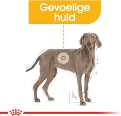 Royal Canin Dermacomfort Maxi - Hondenvoer - 12 Kg -Dierenwinkel 1200x1158