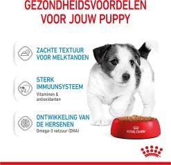 Royal Canin Shn Mini Puppy Pouch - Hondennatvoer - 12 X 85 G -Dierenwinkel 1200x1159 1