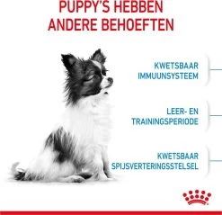 Royal Canin X-Small Puppy - Hondenvoer - 1.5 Kg -Dierenwinkel 1200x1159 10