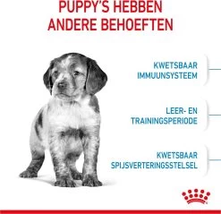 Royal Canin Medium Junior 15 KG -Dierenwinkel 1200x1159 16