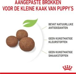 Royal Canin Medium Junior 15 KG -Dierenwinkel 1200x1159 18