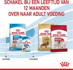 Royal Canin Medium Junior 15 KG -Dierenwinkel 1200x1159 22