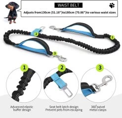 BOTC Looplijn Hond Met Heupriem Voor Hardlopen - Met Drinkbak Hond - Hondenriem - 1 Roll Poep Zakjes - Zwart -Dierenwinkel 1200x1159 44