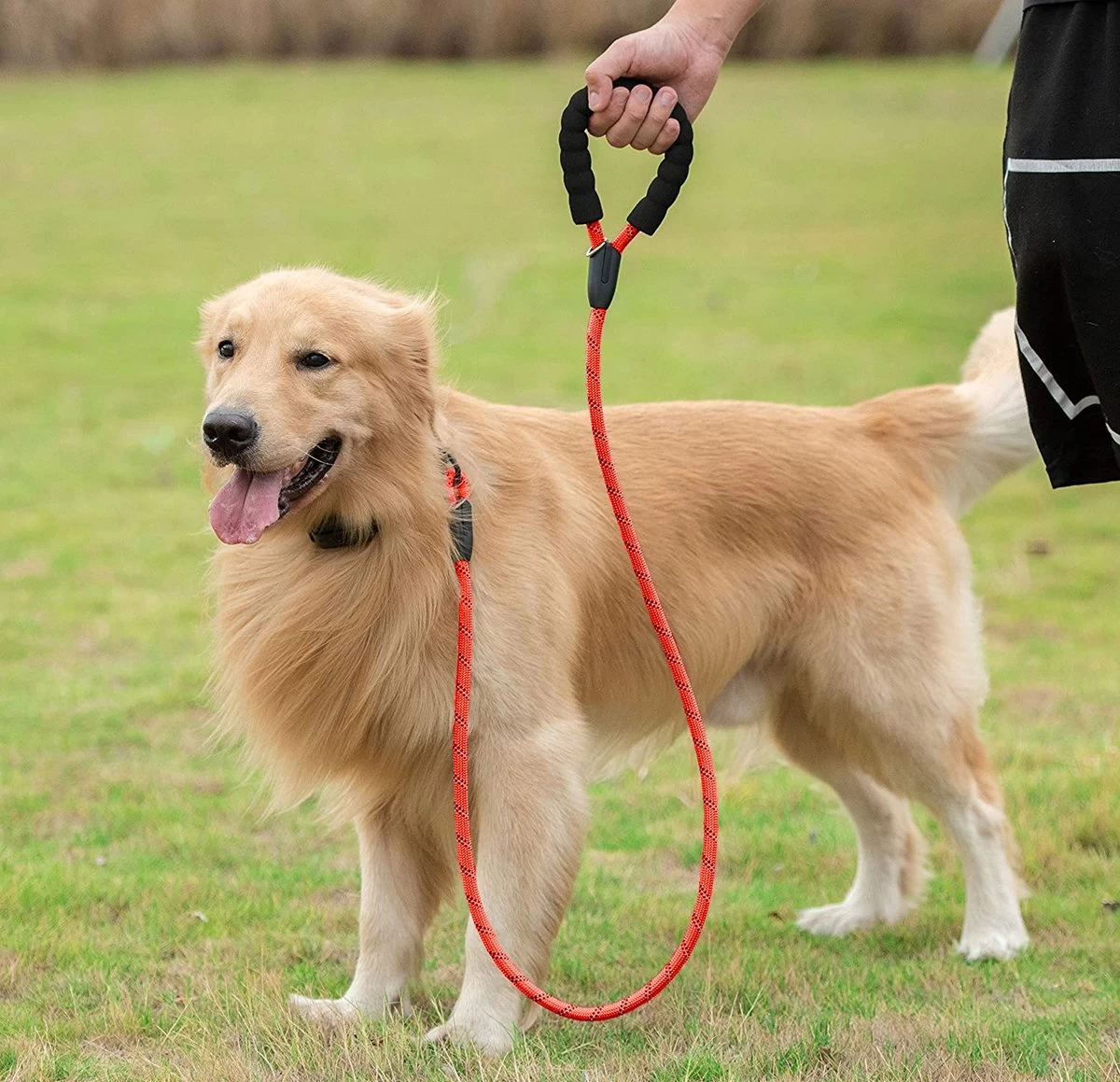 Comfortabele Hondenriem Met Gevoerd Handvat – Stevige Nylon Hondenlijn – Riem Voor Honden 6 Comfortabele Hondenriem Met Gevoerd Handvat – Stevige Nylon Hondenlijn – Riem Voor Honden - Afbeelding 4
