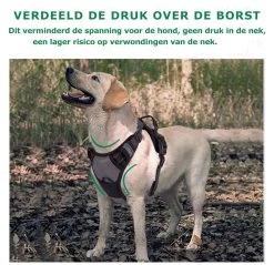 Mister Mill Hondentuigje 2x Klikgesp Maat XL Grijs - Anti-Trek Tuig Hondenharnas - Y Tuig Hond Reflecterend -Dierenwinkel 1200x1160 11