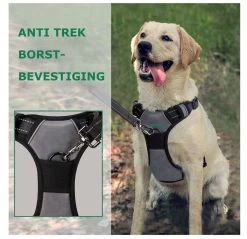 Mister Mill Hondentuigje 2x Klikgesp Maat L Grijs - Anti-Trek Tuig Hondenharnas - Y Tuig Hond Reflecterend -Dierenwinkel 1200x1160 13