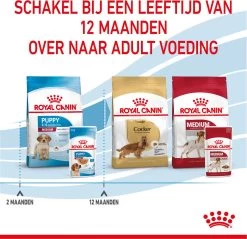 Royal Canin Shn Medium Puppy Pouch - Hondenvoer - 10 X 140 G 31 Royal Canin Shn Medium Puppy Pouch - Hondenvoer - 10 X 140 G -Dierenwinkel 1200x1160 2