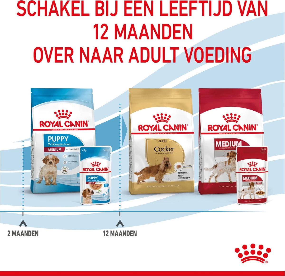 Royal Canin Shn Medium Puppy Pouch - Hondenvoer - 10 X 140 G 13 Royal Canin Shn Medium Puppy Pouch - Hondenvoer - 10 X 140 G - Afbeelding 11