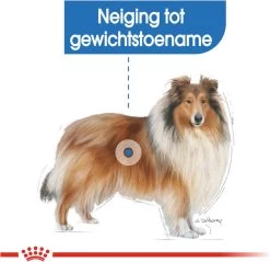 Royal Canin Light Weight Care Maxi - Hondenvoer - 12 Kg 19 Royal Canin Light Weight Care Maxi - Hondenvoer - 12 Kg -Dierenwinkel 1200x1161
