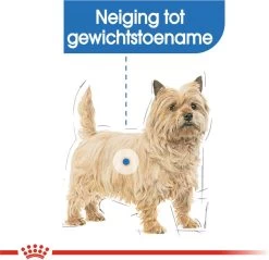 Royal Canin Mini Light 8 KG -Dierenwinkel 1200x1161 5