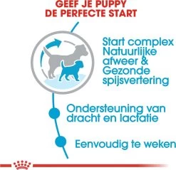 Royal Canin Mini Starter Mother & Babydog - Puppy-Hondenvoer - 8 Kg 14 Royal Canin Mini Starter Mother & Babydog - Puppy-Hondenvoer - 8 Kg -Dierenwinkel 1200x1162 8