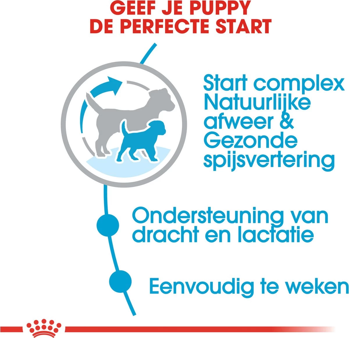 Royal Canin Mini Starter Mother & Babydog - Puppy-Hondenvoer - 8 Kg 7 Royal Canin Mini Starter Mother & Babydog - Puppy-Hondenvoer - 8 Kg - Afbeelding 5