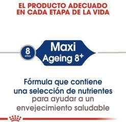 Royal Canin Maxi Ageing 8+ 15 KG 34 Royal Canin Maxi Ageing 8+ 15 KG -Dierenwinkel 1200x1164 3