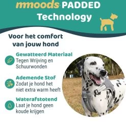 Mmoods Hondentuigje Grijs - Anti-Trek Tuig - Hondenharnas Voor Extra Grote Honden - Reflecterende Halsband Hond - Hondenhalsband Maat XL -Dierenwinkel 1200x1166 20