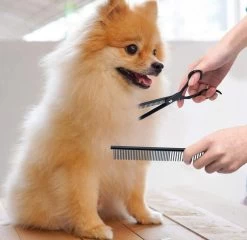 Petsify - Professionele 8-delige Huisdier Knipset - Effileerschaar Hond - Kam Hond - Schaar Hond - Katten Kam - Hondenschaar - Trimschaar Voor Honden - Kapperset - Zwart -Dierenwinkel 1200x1166 6