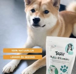 Toshi Multi Vitaminen Met Omega-3 - 100% Natuurlijke Hondensnack Voor Kleine En Grote Honden - Hondenkoekjes Voor Een Gezonde Levensstijl -Dierenwinkel 1200x1167 3