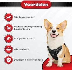 Purrr Fect Hondentuigje - Anti-Trek Tuig - Hondenharnas - Y Tuig Hond - Waterproof - Reflecterend - Verstelbaar - Maat L -Dierenwinkel 1200x1167 30