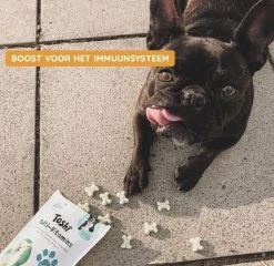Toshi Multi Vitaminen Met Omega-3 - 100% Natuurlijke Hondensnack Voor Kleine En Grote Honden - Hondenkoekjes Voor Een Gezonde Levensstijl -Dierenwinkel 1200x1167 4