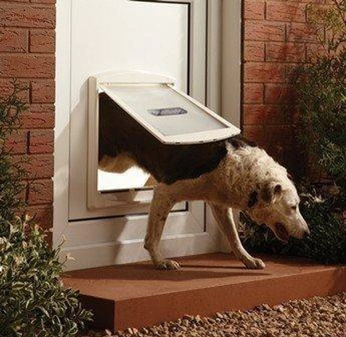 Staywell 777 Hondenluik - Large - Zilver/Tranparant 10 Staywell 777 Hondenluik - Large - Zilver/Tranparant - Afbeelding 8