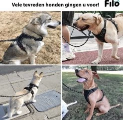 Filo Anti Trek Hondentuig S Met Hondenriem - Y Tuig Hond Verstelbaar - Hondentuigje Kleine Hond + Hondenlijn - Easy Walk Hondenharnas - Hondentuigjes - Leiband - Honden Tuigje - Puppy - Tuig - Hond -Dierenwinkel 1200x1170 12