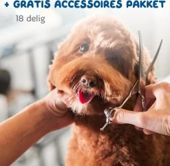 Pawwy Dieren Tondeuse Set Draadloos Voor Honden En Katten – Voor Dikke Vacht - Hondentondeuse – Hondentrimmer - Scheerapparaat - Goud -Dierenwinkel 1200x1170 2