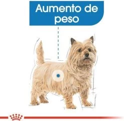 Royal Canin Mini Light 8 KG -Dierenwinkel 1200x1172 2