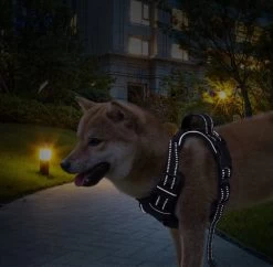 Nobleza 42ZHY - Hondenharnas - Hondentuigje - Anti Trek - L - Zwart 15 Nobleza 42ZHY - Hondenharnas - Hondentuigje - Anti Trek - L - Zwart -Dierenwinkel 1200x1174 22