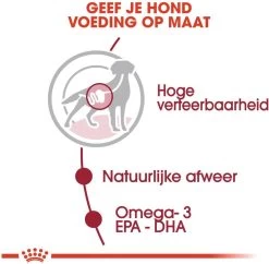 Royal Canin Shn Medium Adult Pouch - Hondenvoer - 10 X 140 G -Dierenwinkel 1200x1175