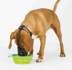 TRIXIE Honden Muilkorf Flex Maat L 17614 -Dierenwinkel 1200x1175 5