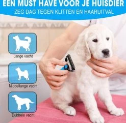 Professionele Ondervacht Kam Voor Hond En Kat S – Hondenborstel – Kattenborstel - Hondenkam –Anti Klit - Haarverwijderaar Voor Huisdieren - Pijnloos - Huisdiervriendelijk – Klittenkam - Voorkomt Haaruitval - Kleine Variant- Black Friday - Sinterklaas -Dierenwinkel 1200x1178
