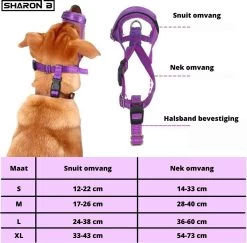 Sharon-B Muilkorf Turquoise Maat S - Fleece - Reflecterend - Kleine Hond -Dierenwinkel 1200x1179 6