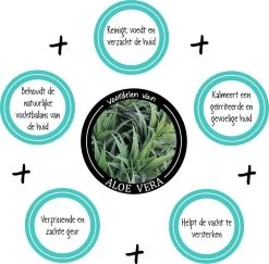 Greenfields Vacht Verzorging Set Voor Honden Shampoo, Conditioner & Droogshampoo -Dierenwinkel 1200x1182 3