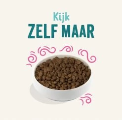 Edgard&Cooper Plantbased Adult Rode Biet&Pompoen - Hondenvoer - 7 Kg 12 Edgard&Cooper Plantbased Adult Rode Biet&Pompoen - Hondenvoer - 7 Kg -Dierenwinkel 1200x1185 3